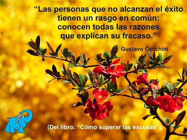 Una Enseñanza de Gustavo Rubén Cecchini en la Frase del Día del Elefante Azul de Avilés.